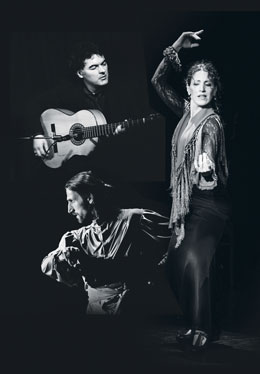 Bild Musikschiene: Flamenco!