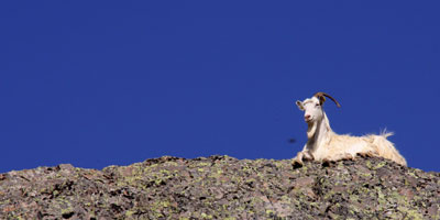 Foto: Andreas Kern